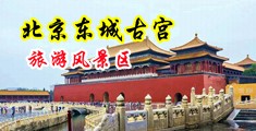 一挺进入动态图(试看)中国北京-东城古宫旅游风景区
